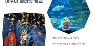 아쿠아플라넷-광교-간단한-설명과-사진