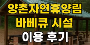 양촌자연휴양림-바베큐-시설-이용-후기