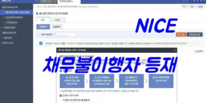 NICE-채무불이행자-등재